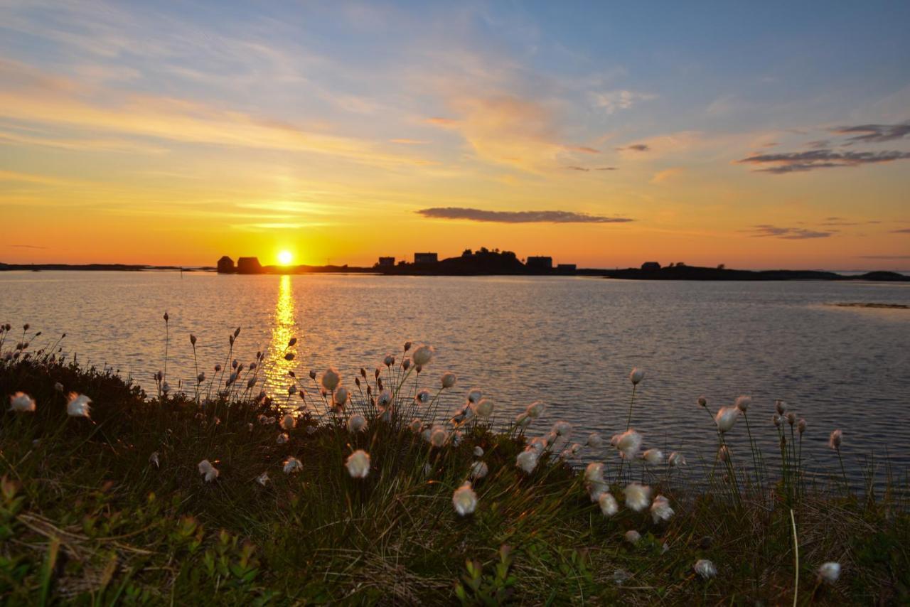 Bud Camping Exteriér fotografie